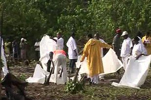 Kenya airways plane crash