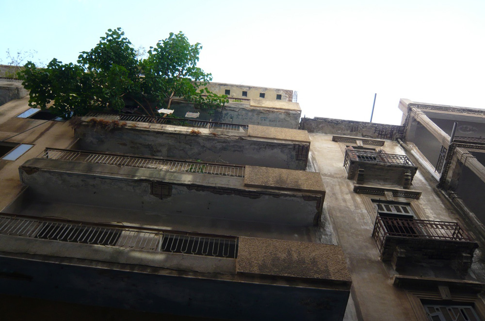 return to the valley of jews