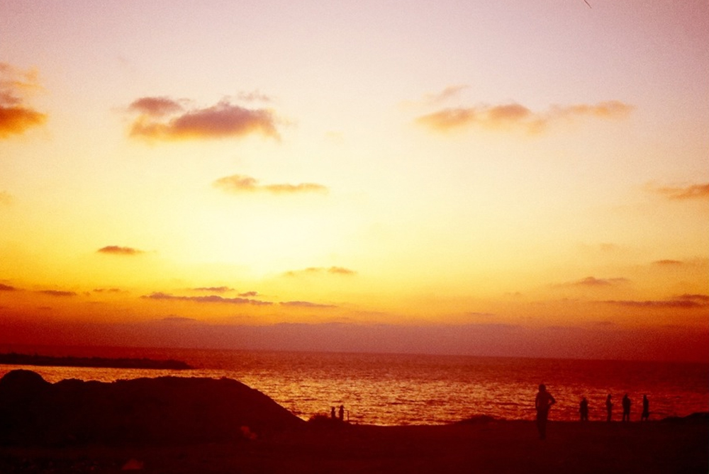 Artscape - Free Running Gaza