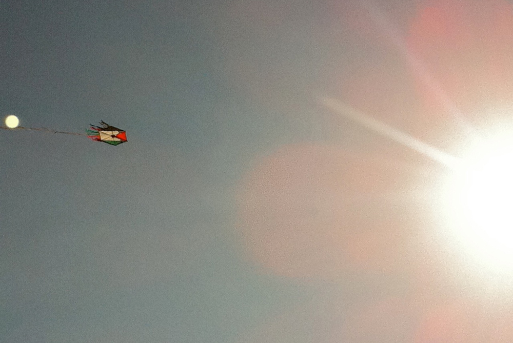 Artscape - Free Running Gaza