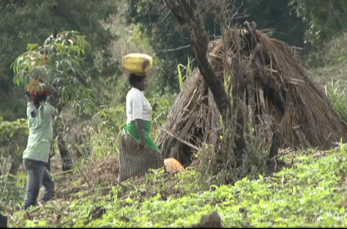 Land grab Uganda