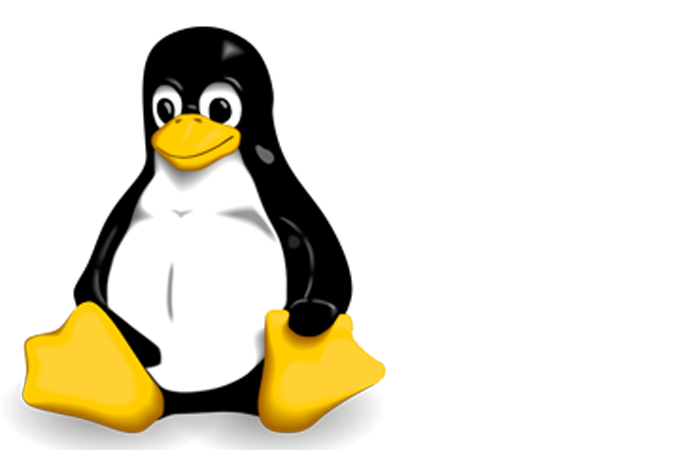 Linux Tux penguin