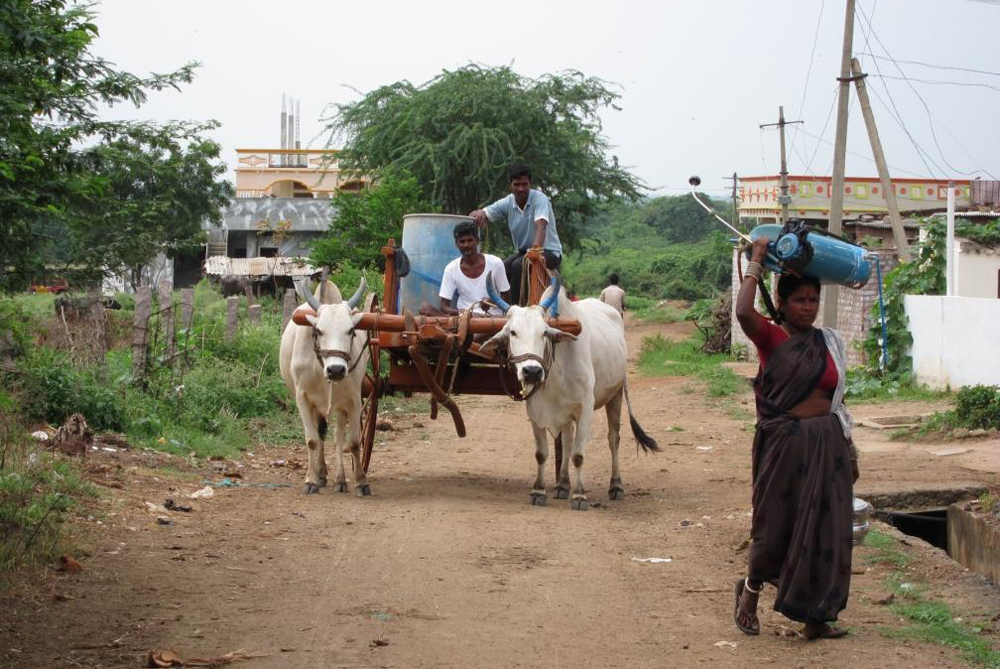 101 East: India Killer Spray