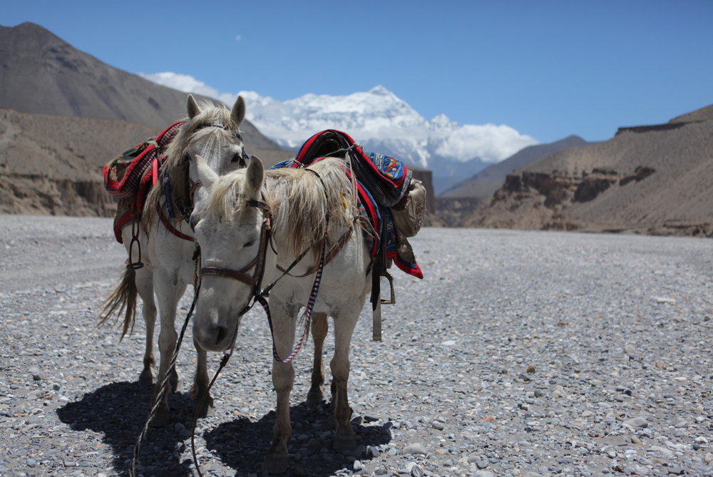 Al Jazeera Correspondent - Mustang