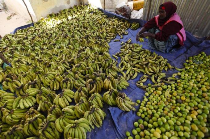 A bomb explosion kills at least 6 in Mogadishu, Somalia