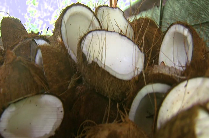 There''s a growing global demand for coconut products, but many farmers aren''t seeing the benefits.
