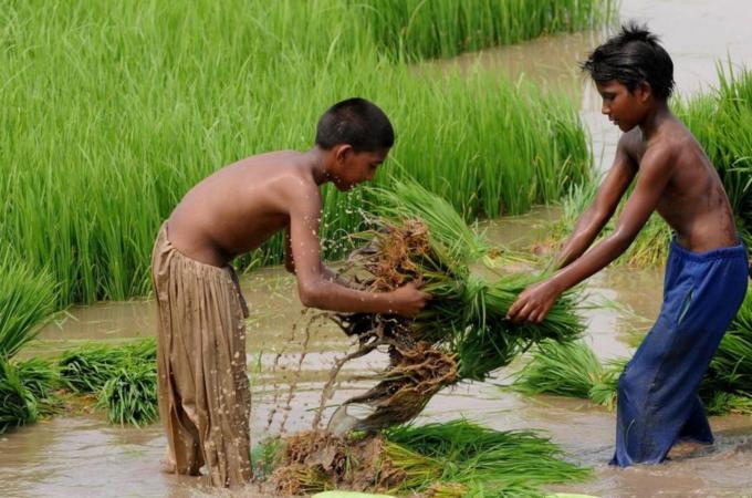 To go with Pakistan-India-diplomacy-wate