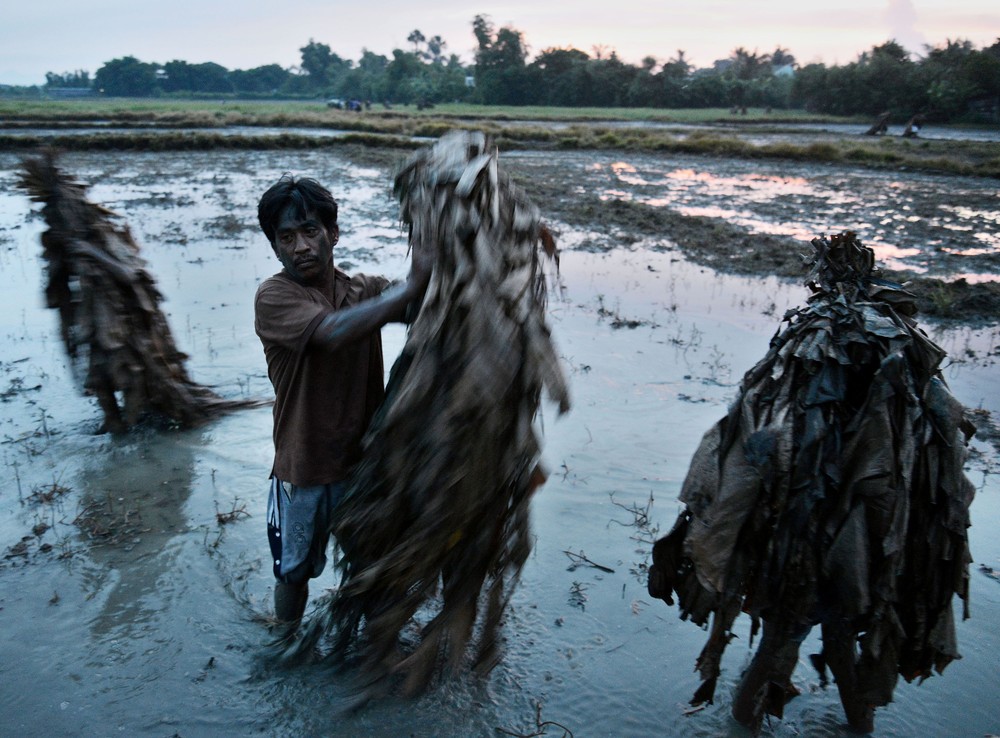 <p>A man assists his fellow devotee for the early morning preparation of the "Taong Putik" festival on June 24, 2013, in Aliaga, a town north of Manila, Philippines. The historically significant religious festival is based on paying homage to patron saint John the Baptist.</p>