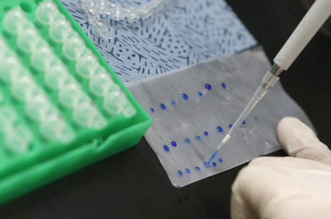 Examiner demonstrates analyzing a genetically modified wheat sample, during a photo call in Seoul