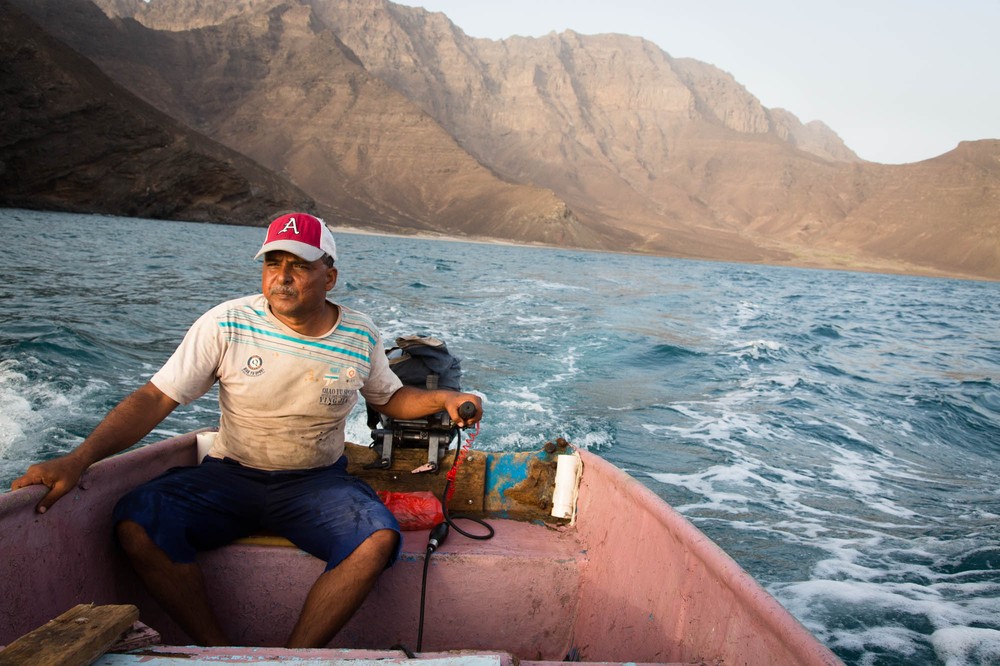 Yemen: Arabia''s Wildlife Hypermarket