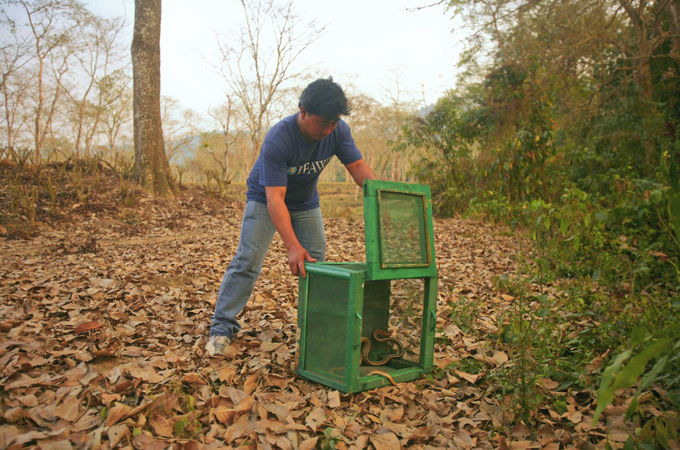 undefined