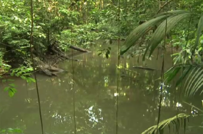 French Guiana resident fight gold mining