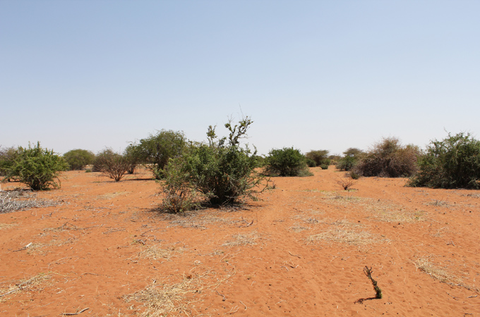 Those killed in the massacre were buried in this unmarked graveyard near the airstrip [Jamil Amir/Al Jazeera]