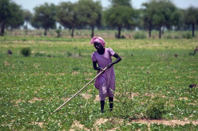 Each year, Africa spends $40bn on imported food [Reuters]