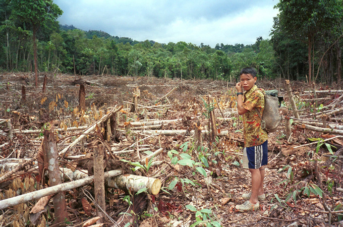 The Penan people of Sarawak state have been pushed out of their forests by dam projects [AP]