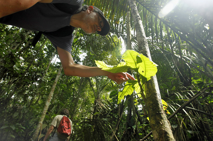 Scientists conduct research into carbon-recycling dynamics in one of Peru's Amazonian rainforests [Reuters]