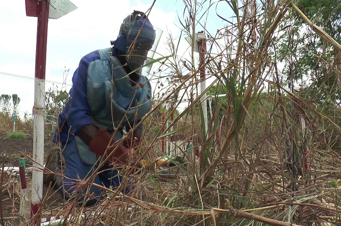 A de-mining team works in central Mozambique to remove the deadly legacy of war [Benjamin Durr]