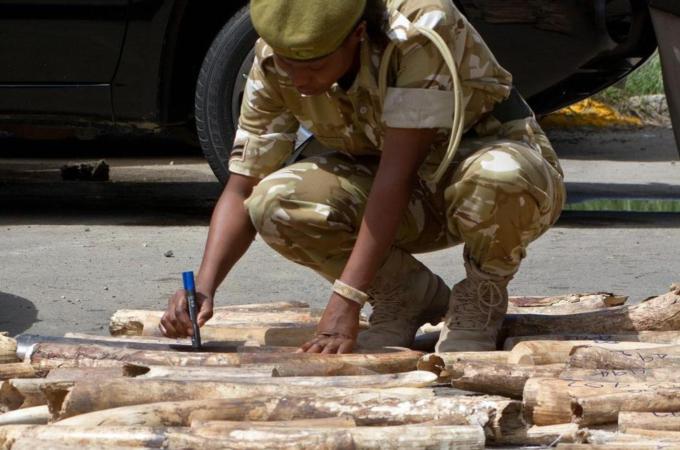 Trade is linked to the exploitation of vulnerable communities in Africa and Asia, write Costra and Hall [AFP]