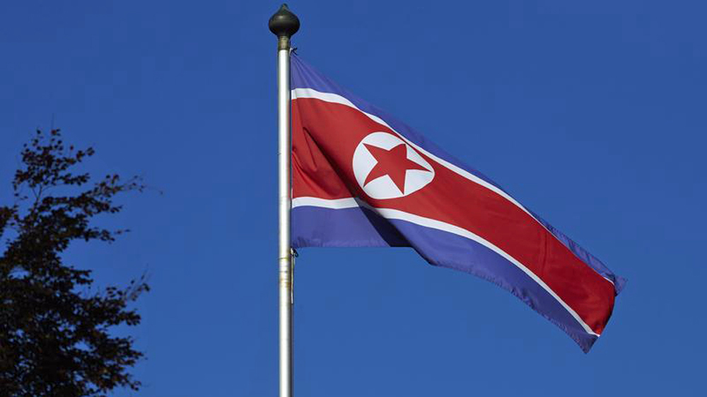 north korea flag