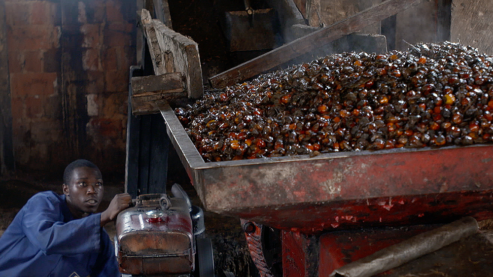 People & Power - From Africa''s Palms