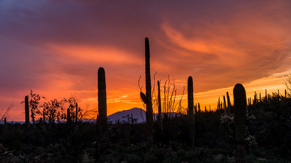 US-Mexico border deaths