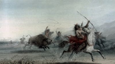 American Indians hunting a bison in the prairie [Getty]