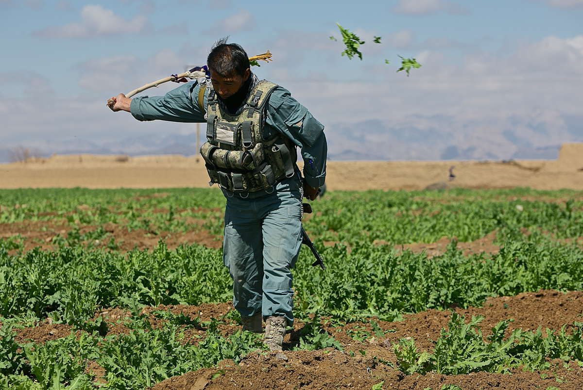 Afghanistan''s Billion Dollar Drug War