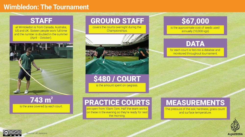 Infographic: Wimbledon Championships 2015 - TOURNAMENT