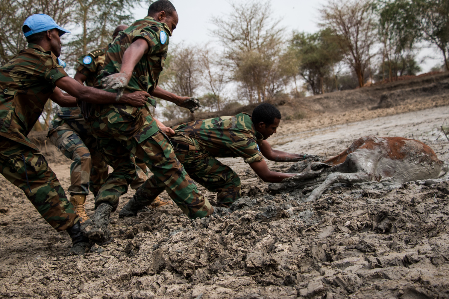 Abyei/ DO NOT USE/ RESTRICTED