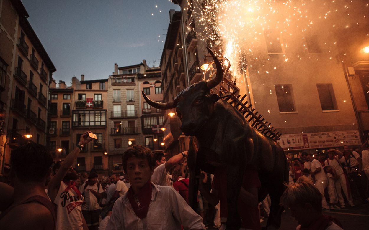 Bull run/ DO NOT USE/ RESTRICTED