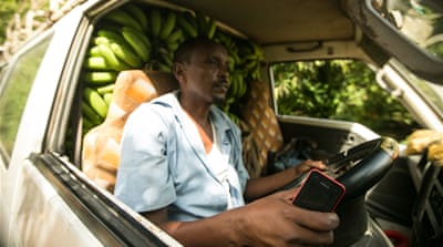Banana farmers are returning to their plantations [Hamza Mohamed /Al Jazeera] 