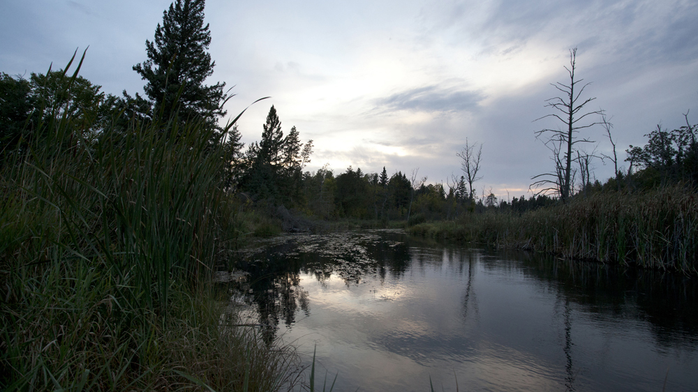 Environmentalists who oppose the pipeline are concerned waterways will be vulnerable to disruptive construction activity [Sadie Luetmer/Al Jazeera]