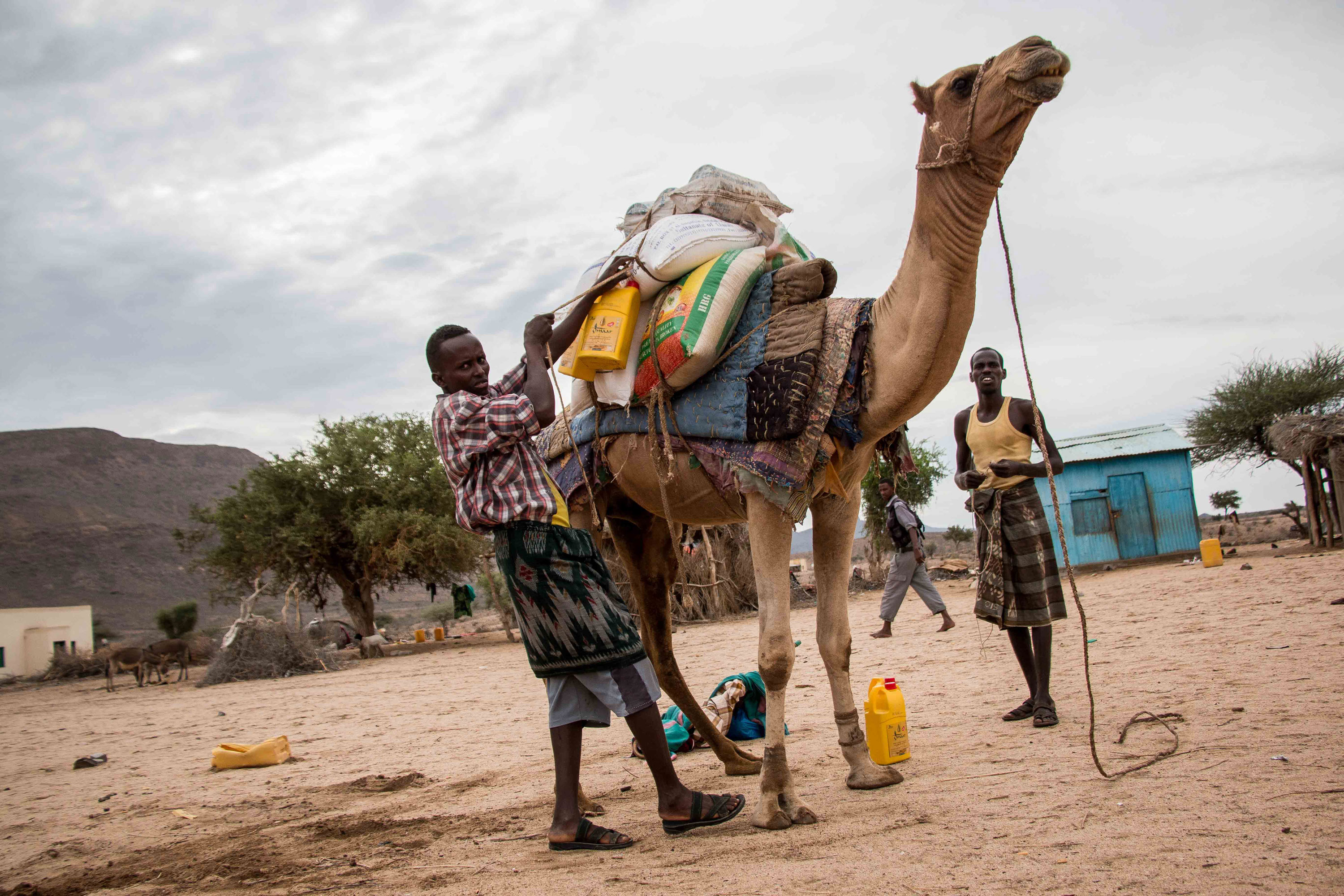 Please Do Not Use/ Somaliland