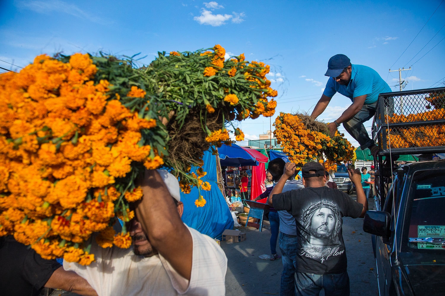 Day of the dead/ DO NOT USE/ RESTRICTED