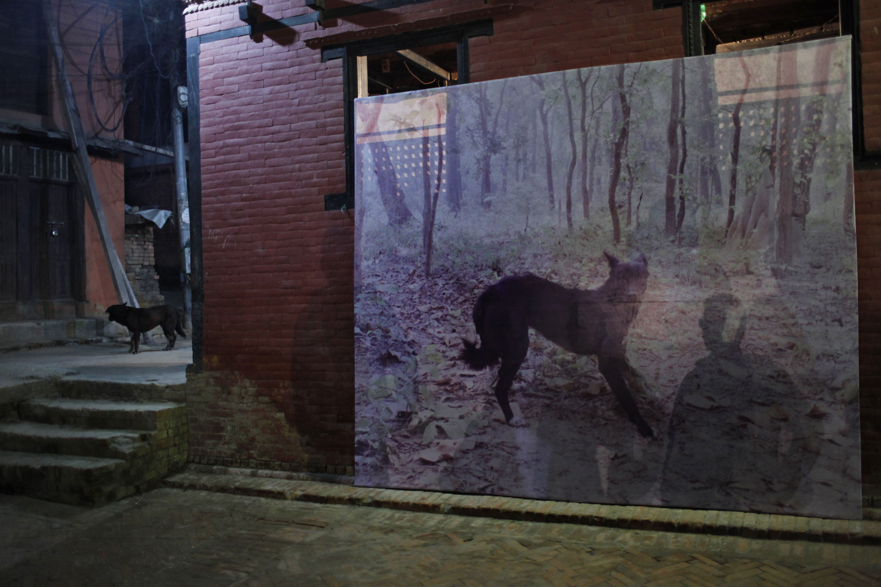 Please Do Not Use/ Nepal photo festival