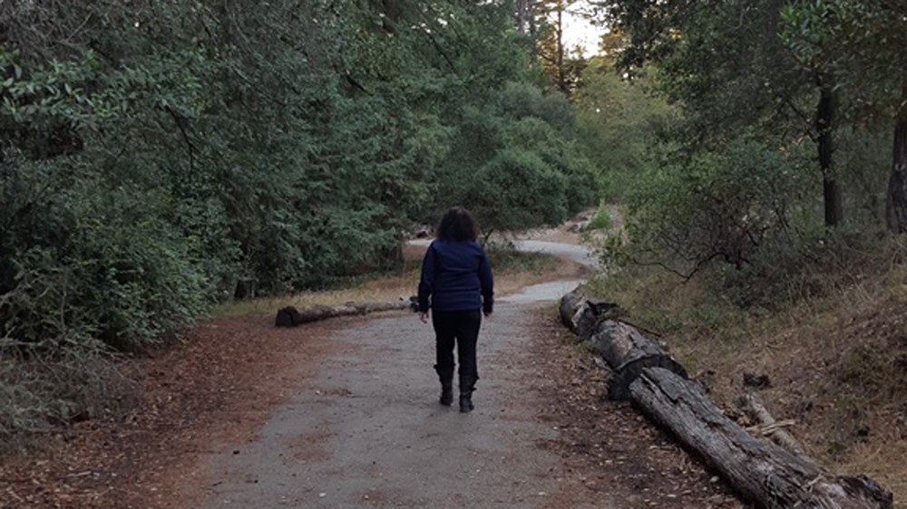 The author [Elmaz Abinader/ Al Jazeera] 