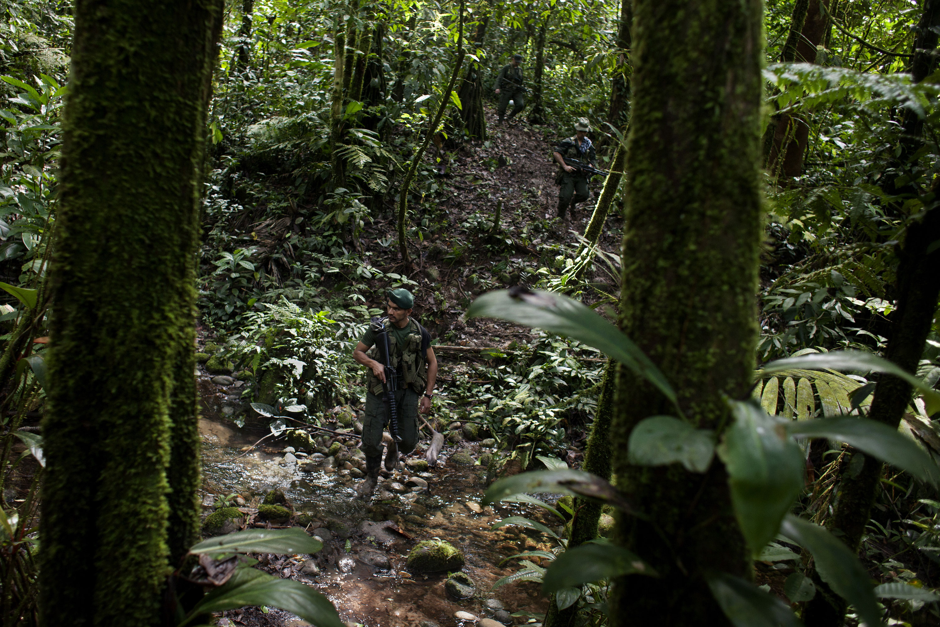 Please Do Not Use/FARC Rebels