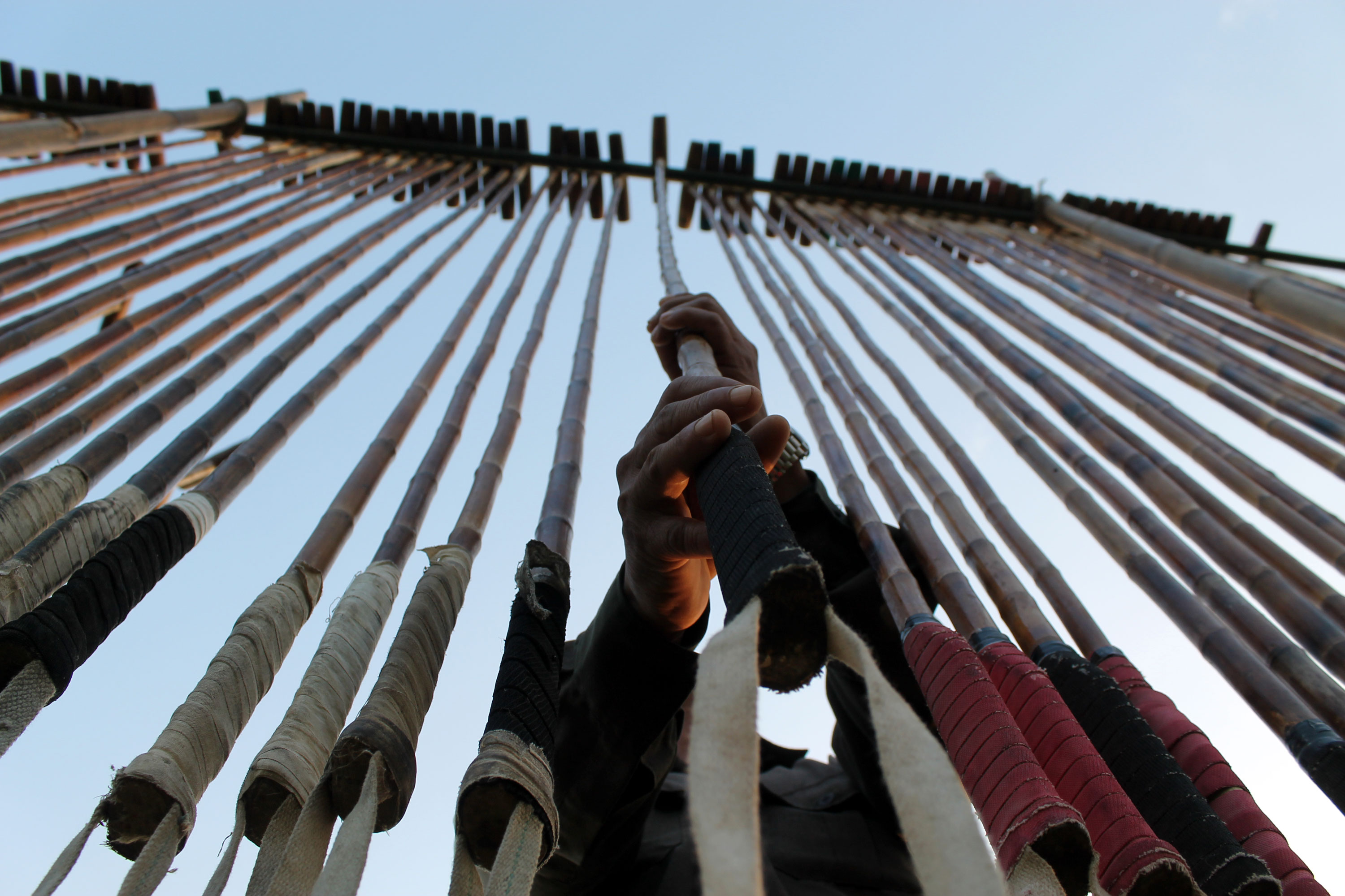 WORLD ELEPHANT POLO/ Please Do Not Use