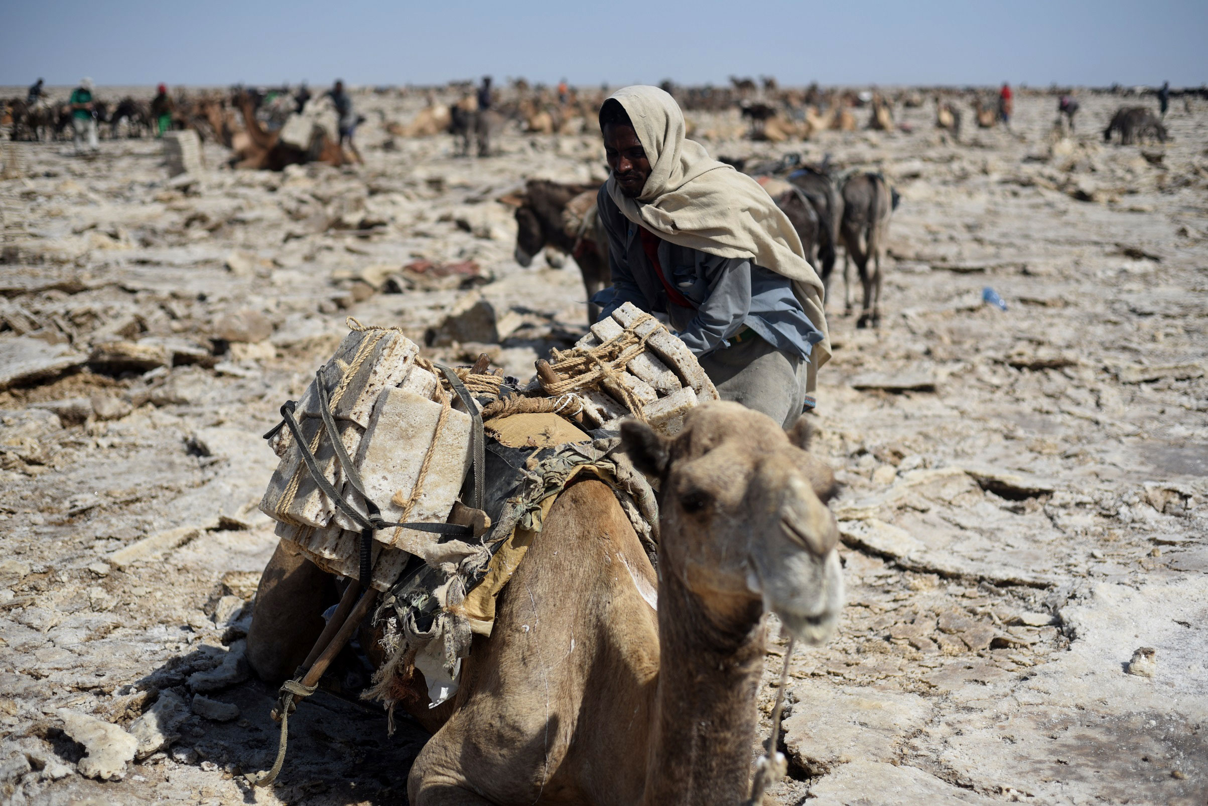 Ethiopian salt mines and camel caravans/Please Do Not Use
