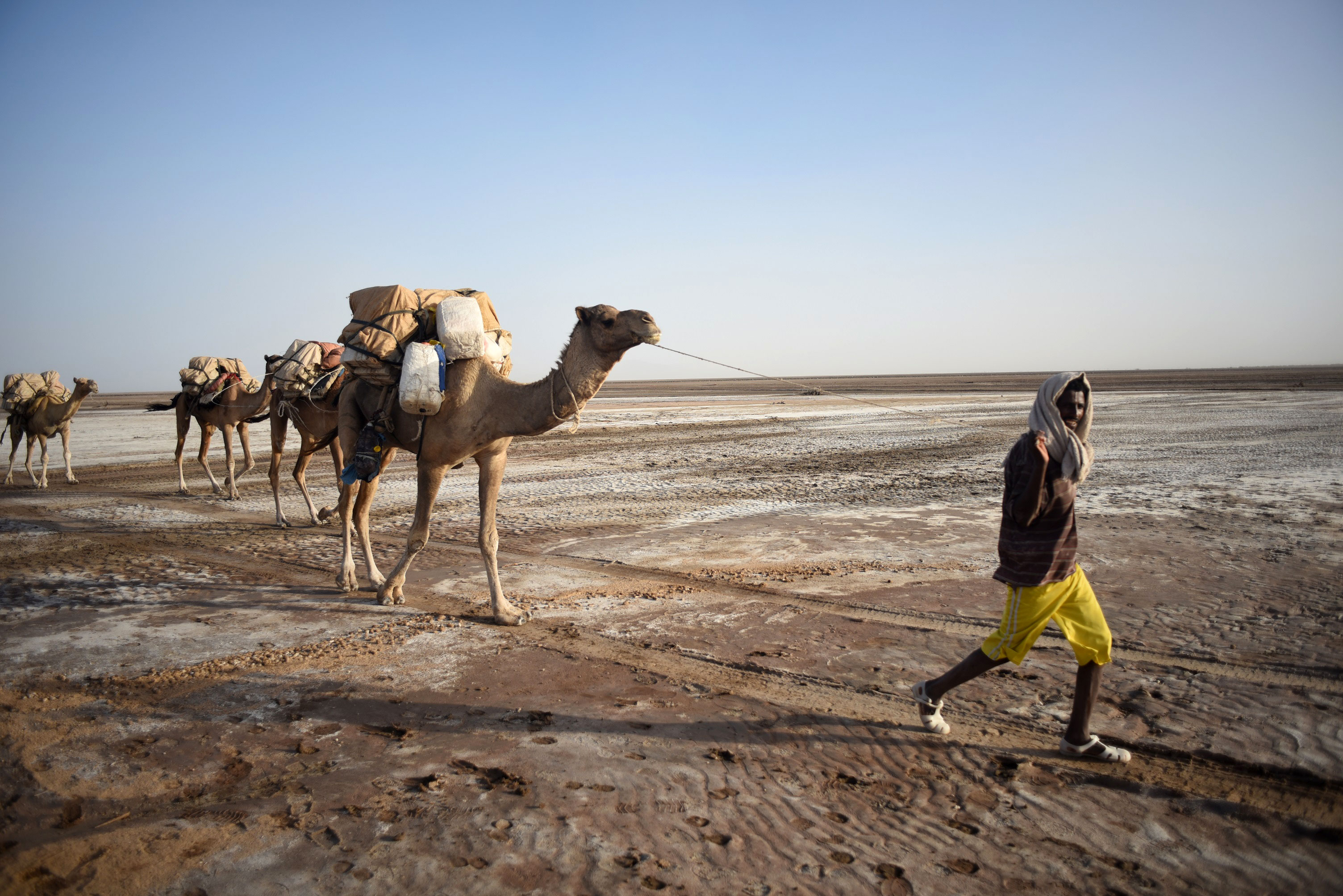 Ethiopian salt mines and camel caravans/Please Do Not Use
