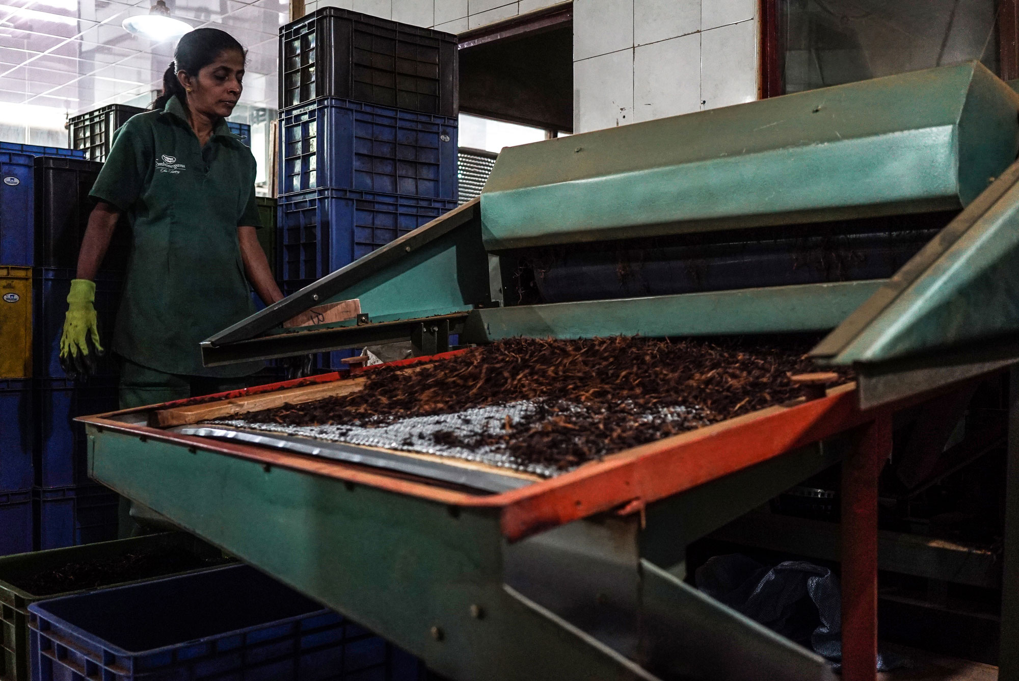 Tracing the origins of the world’s most popular beverage.[Sorin Furcoi/Al Jazeera]