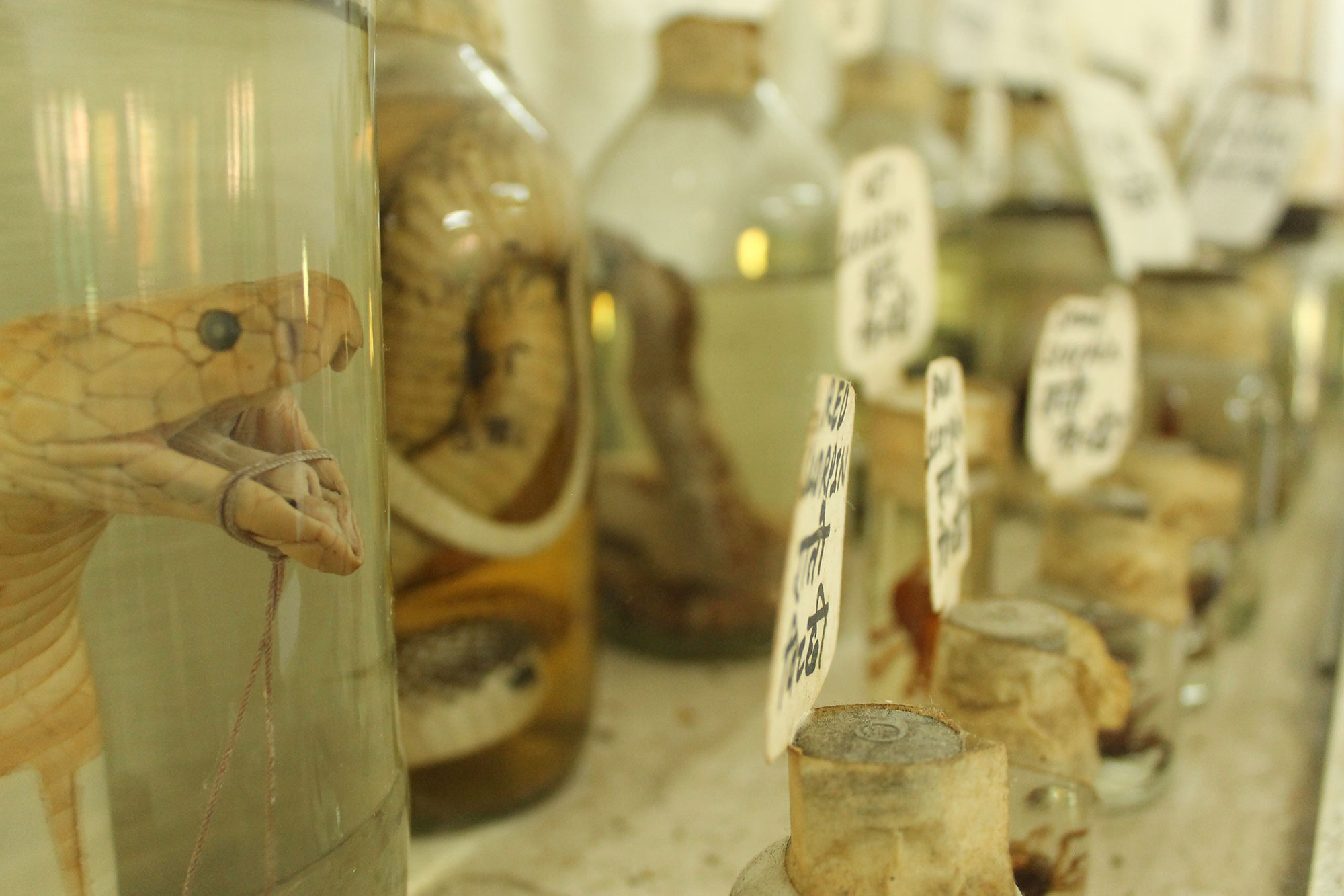 LEPROSY, Nepal/ Please Do Not Use