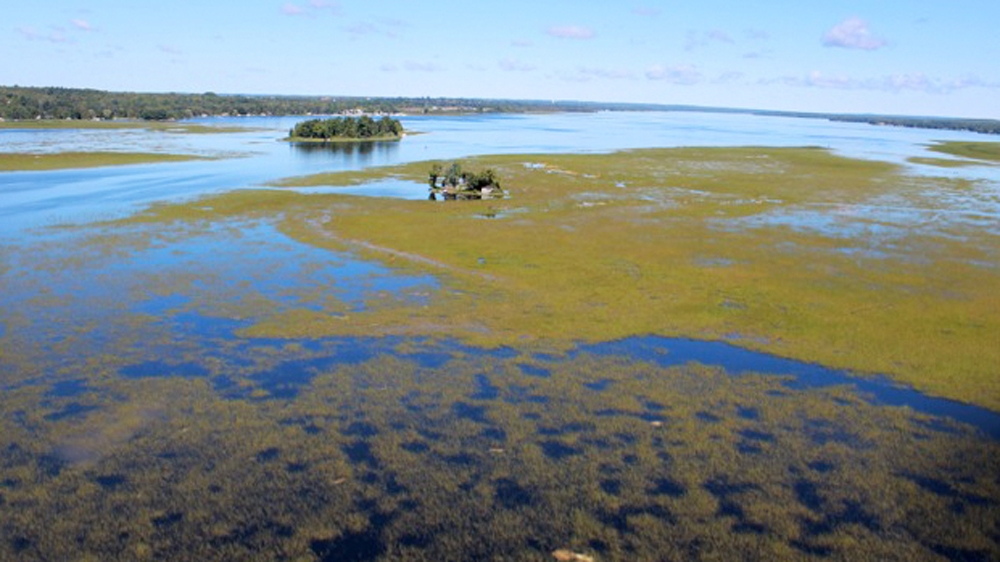 Canada''s wild rice-do not use