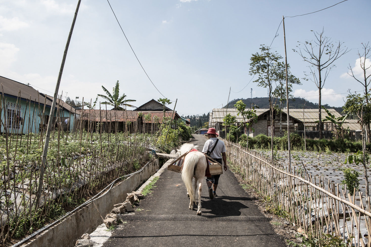 Mobile library Indonesia/Please Do Not Use