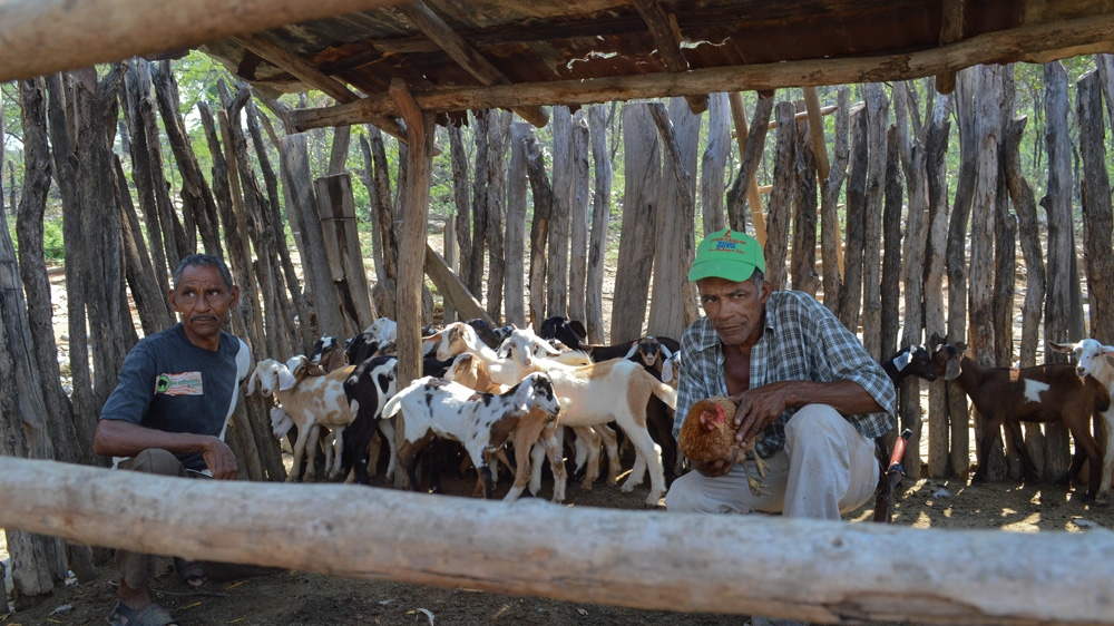 Las Casitas farmers Andres Avelino Perez, left, and Celito Puche Ramirez have been self-sufficient all their lives. Now they worry they will not find work when they are relocated [Fredrik Brogeland Laache/Al Jazeera]