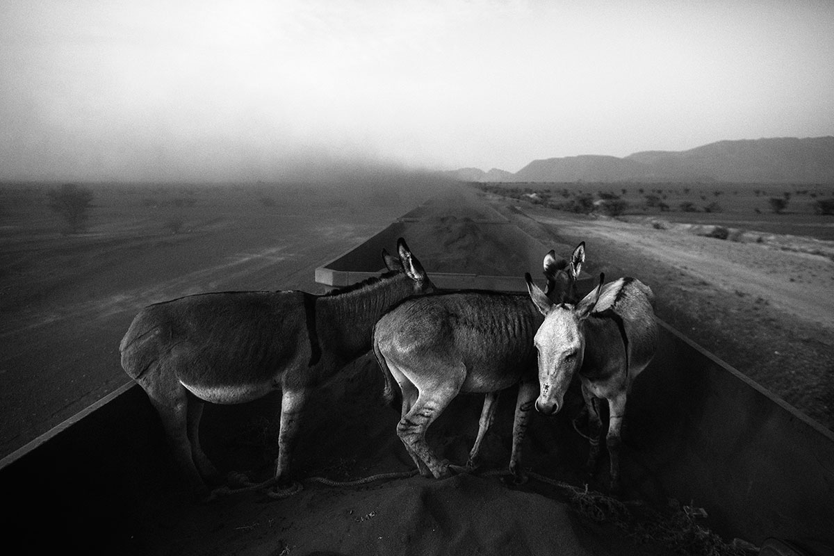 The Iron Train /Please Do Not Use