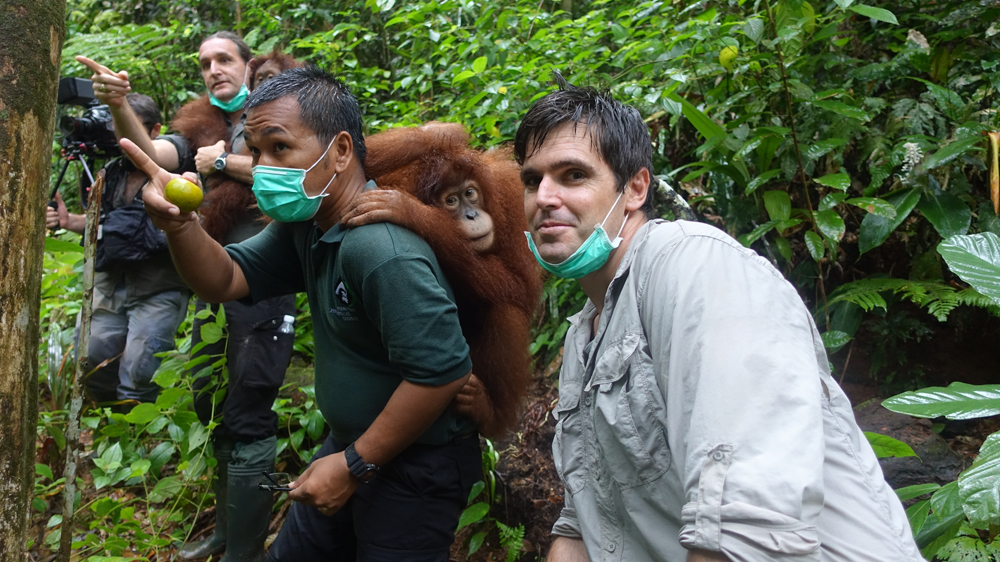 101 East - Orangutan whisperer blog