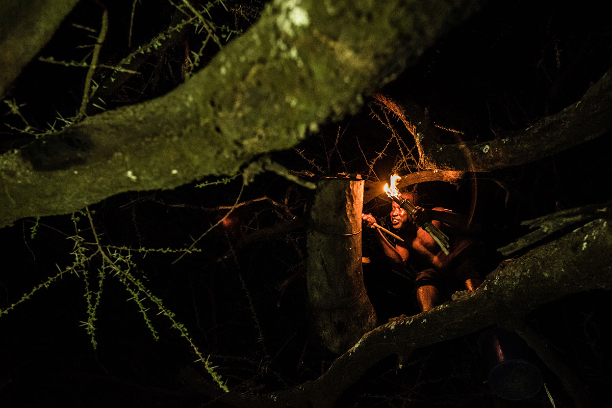 Dripping Gold: On the Hunt for Honey in Kenya/ Please Do Not Use