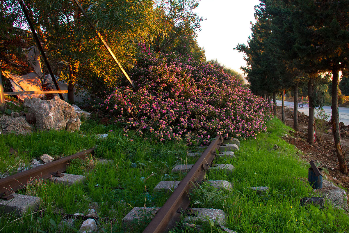 A Voyage Along Lebanon’s Nonexistent Railways/ Please Do Not Use