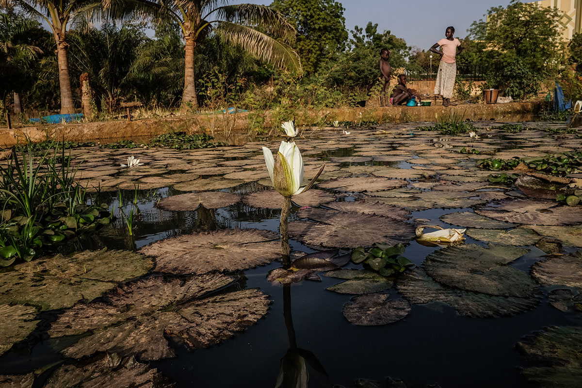 Current Life on the Niger River/ Please Do Not Use